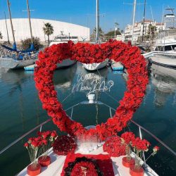 WhatsApp Image 2026-03-07 at 16.21.27 (1)